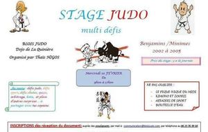 Stage JUDO  Benjamins/Minimes (2002 à 2005)  vacances févier Blois Judo