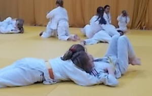 La presse en Parle ... la NR du 28/04/2016    Judo, la perfection au féminin
