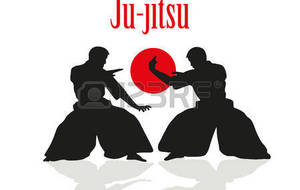 Cours de Jujitsu du samedi 14 janvier annulé !