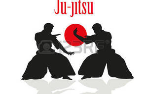 Cours de Jujitsu pendant les vacances, le 15 avril !