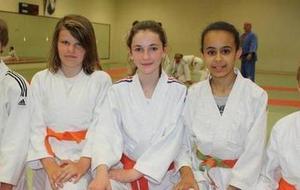 Article NR 12/06/2013