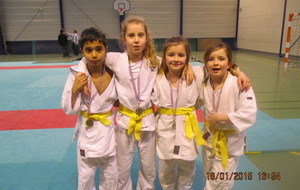54bbf11588bf0_LAMOTTEBEUVRON18012015022.JPG