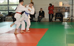 56a4fb8730f60_DSC0239.JPG
