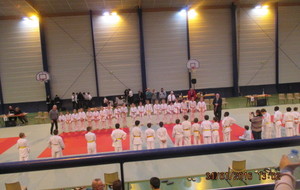 56b0fdbdbc161_noel20151erjanvannivsamjudo3101089.JPG