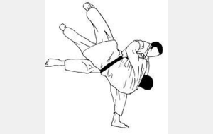 Journée régionale Sport Adapté Judo