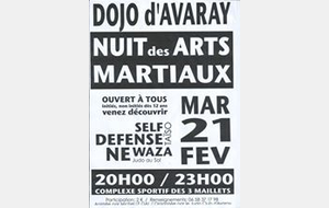 Nuit des arts martiaux