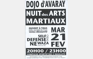 Nuit des arts martiaux