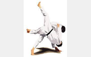 Animation Régionale Ceinture de Couleurs 