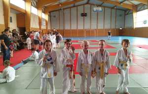 Tournoi Poussins et Poussines de Cour- Cheverny