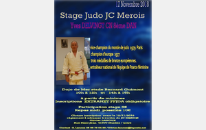 Stage Technique avec Yves Delvingt au dojo d'AVARAY