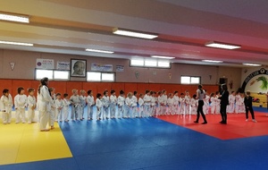 Animation Baby judo Avaray