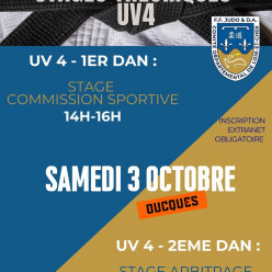 Stage Théoriques UV4